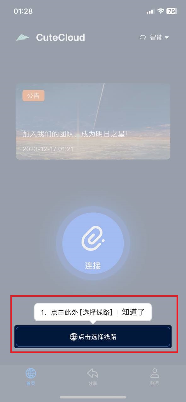 Digilink 输入验证信息 ccc